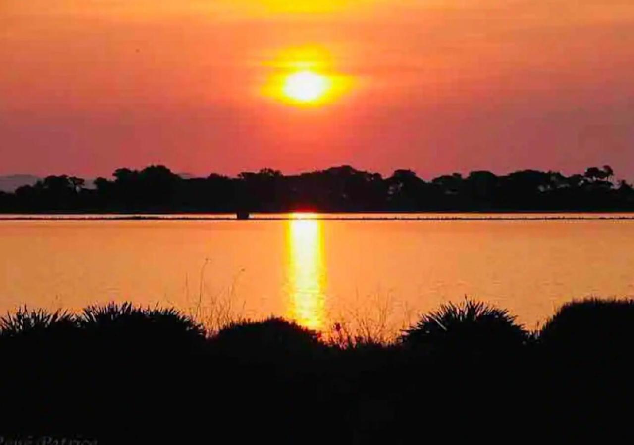 Apartment Les Flamants Roses La Capte Clim 4pers 100m Hyeres